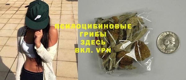 твердый Белокуриха