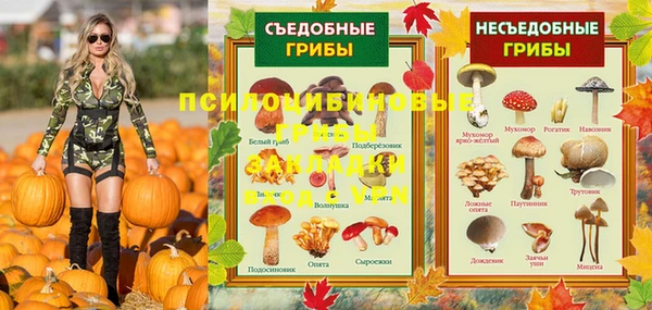твердый Белокуриха