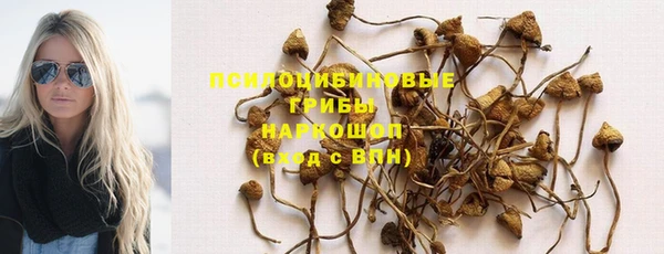 твердый Белокуриха