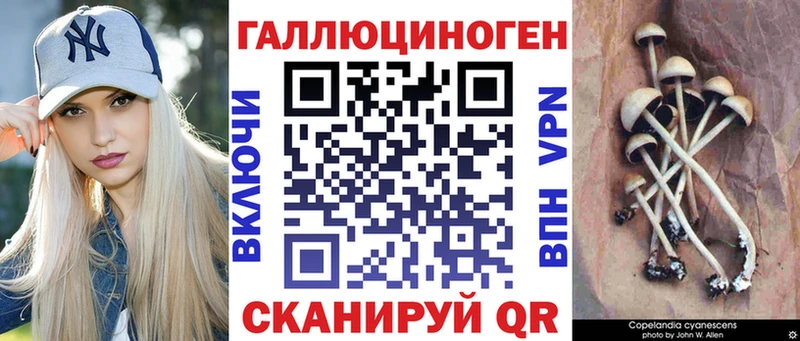 Псилоцибиновые грибы Cubensis  Окуловка 